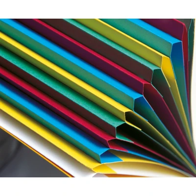 Afbeelding van Exacompta Nature Future A4 Sorteermap, 7 vakken, 320 x 240 mm, Karton, Blauw