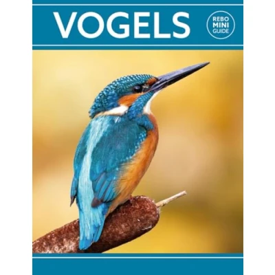 Afbeelding van Rebo Productions Vogels Mini guide (ISBN:9789036637947)