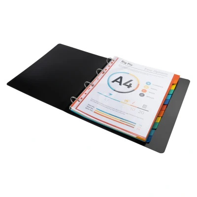 Afbeelding van Exacompta ref. 2112E Felgekleurde gerecycleerde tabbladen 220g/m2 met 12 neutrale tabs Formaat A4 Maxi. Afmetingen: 24,5 x 29,7 cm