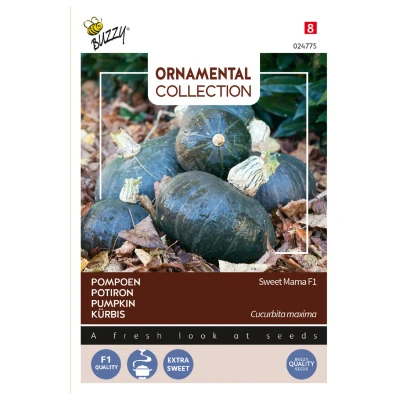 Afbeelding van Ornamental Pompoen Sweet Mama F1