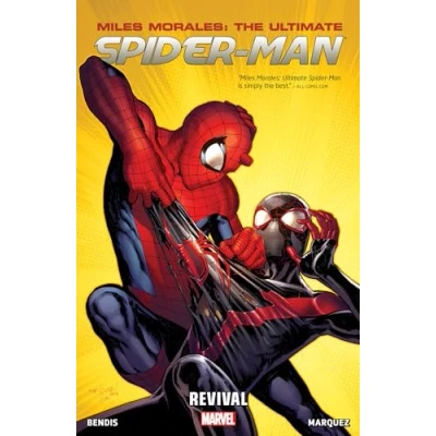 Afbeelding van Miles Morales