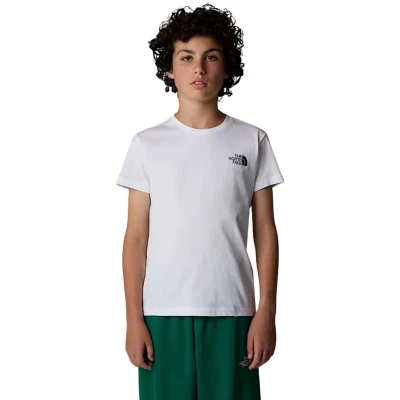 Afbeelding van The North Face Box Nse Tee