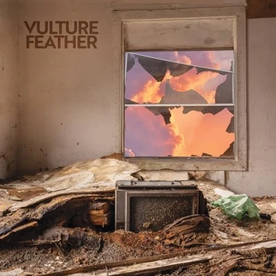 Afbeelding van Vulture Feather It Will Be Like Now (LP)