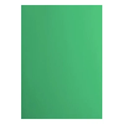 Afbeelding van Vaessen Creative 2927 058 Florence Cardstock papier, groen, 216 gram/m², DIN A4, 10 stuks, glad, voor scrapbooking, kaarten maken, stansen en andere papierknutselwerken
