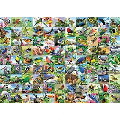 Afbeelding van Ravensburger puzzel 99 delightful birds Legpuzzel 300 Large Format stukjes