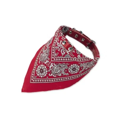 Afbeelding van Nobby Kraag met Halsdoek, 45 cm, Rood