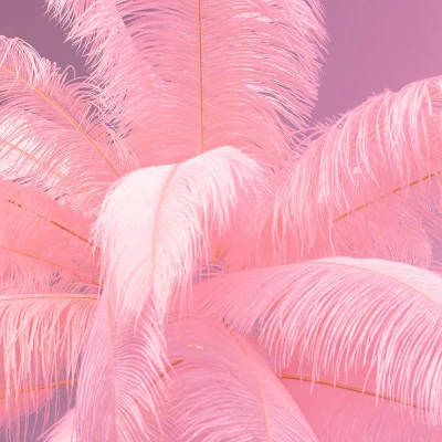 Afbeelding van KARE Feather Palm vloerlamp met veren, pink