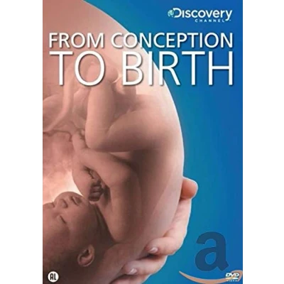 Afbeelding van From Conception To Birth