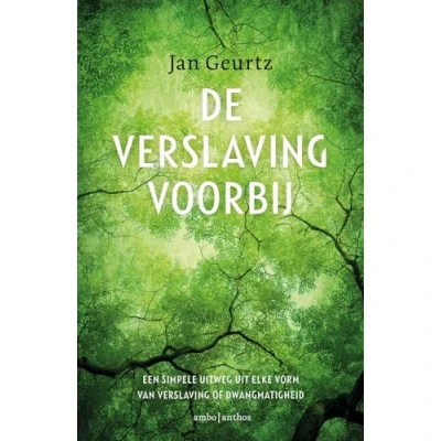Afbeelding van De verslaving voorbij (Paperback)
