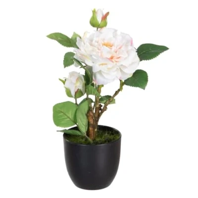 Afbeelding van Decoratieve plant Polyester Polyethyleen Ijzer Roze 16 x 31 cm