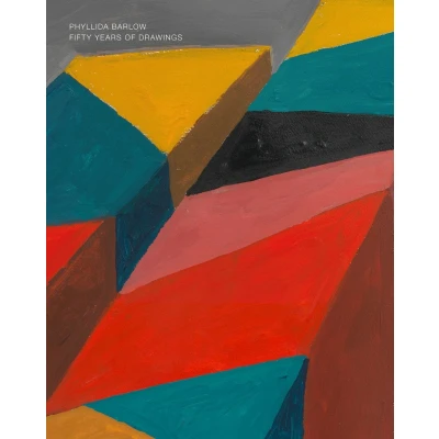 Afbeelding van Phyllida Barlow: 50 years of drawing