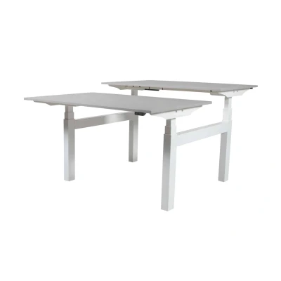 Afbeelding van Lectro Duo Plus werkplekken, zit sta (64 130cm) hoogte verstelbaar dmv 2 elektromotoren per wp met 160x80cm licht grijs 25mm bladen en zwart (RAL9005)