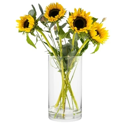 Afbeelding van TREND FOR HOME Magnolia Vloervaas, groot, 29 cm, glazen vaas, cilindervaas voor paasstruik, helder glas, pampasgras, transparant, rond, modern, cilinder, 4900 ml, Ø 15,8 cm