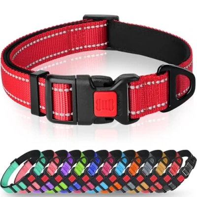 Afbeelding van Taglory Reflecterende nylon hondenhalsband met veiligheidsgesp, verstelbare halsband, zachte neopreen voering, voor puppy‘s, XS, rood