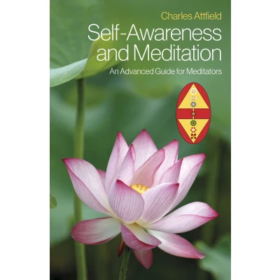 Afbeelding van Self Awareness and Meditation: An Advanced Guide for Meditators