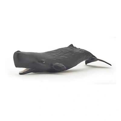 Afbeelding van Papo Wild Life Potvis Kalf 56045