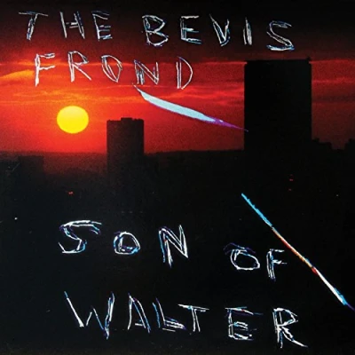 Afbeelding van Bevis Frond Son Of Walter (CD)