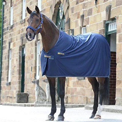 Afbeelding van Bucas Prize Cooler Promo Deken 160 Navy / Goud