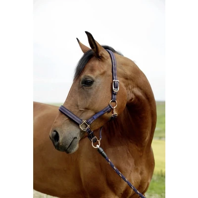 Afbeelding van GoLeyGo Halster 2.0 Blauw/Karamel Pony