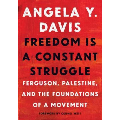 Afbeelding van Freedom Is a Constant Struggle: Ferguson, Palestine, and the Foundations of Movement