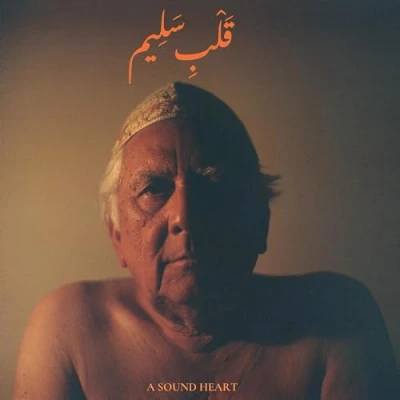Afbeelding van Jaubi A Sound Heart (2 LPs)