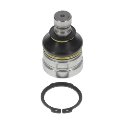 Afbeelding van Moog Fuseekogel MI BJ 8860