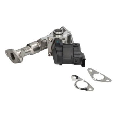 Afbeelding van Pierburg EGR klep 7.24809.50.0