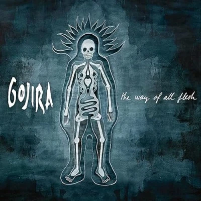 Afbeelding van Gojira Way of All Flesh (2 LPs)