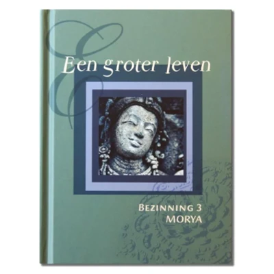 Afbeelding van Een groter leven (Hardback)