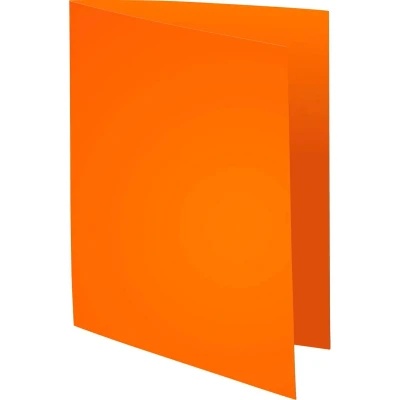 Afbeelding van Exacompta dossiermap Forever 180, ft A4, pak van 100, oranje 5 stuks