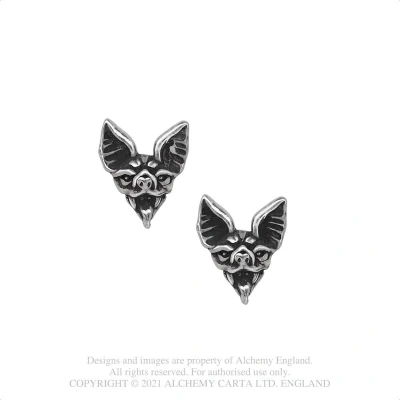 Afbeelding van Alchemy Gothic Stud oorbellen Cauchemar Zilverkleurig