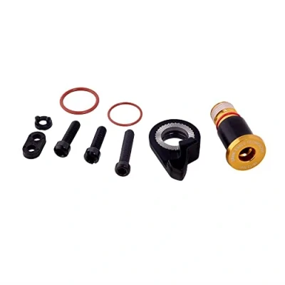 Afbeelding van Sram Reserve Achterderailleur B Bolt en Limit Screw Kit Xx1 Eagle Gold Hex5: Goud