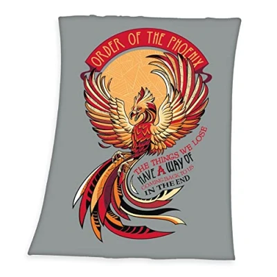 Afbeelding van Herding Fleecedeken Harry Potter, 130 x 170 cm, 100% polyester, fleece