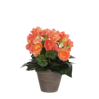 Afbeelding van Mica Decorations begonia maat in cm: 30 x 25 zalm