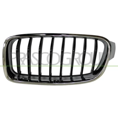 Afbeelding van Radiateurgrille PRASCO BM0282024