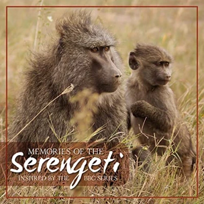 Afbeelding van Various Artists Memories Of The Serengeti (CD)