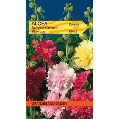 Afbeelding van Althaea (Alcea), Stokroos Summer Carnaval