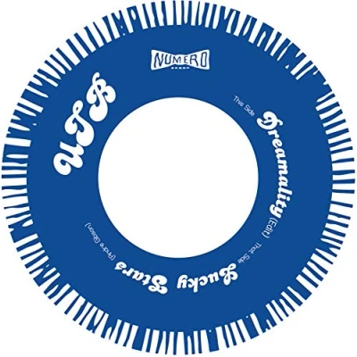 Afbeelding van Universal Togetherness Band Dreamality (7&quot; Vinyl Single)