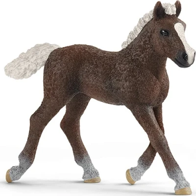 Afbeelding van Schleich farm world schwartzwälder veulen 7,5 cm