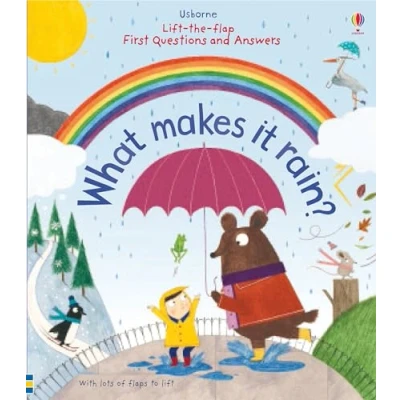 Afbeelding van Lift the Flap First Questions and Answers What Makes it Rain?