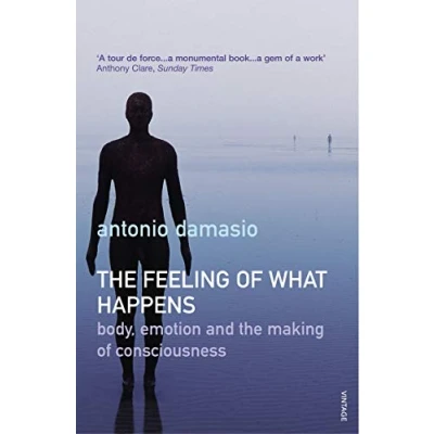 Afbeelding van the Feeling of What Happens: Body and Emotion in Making Consciousness