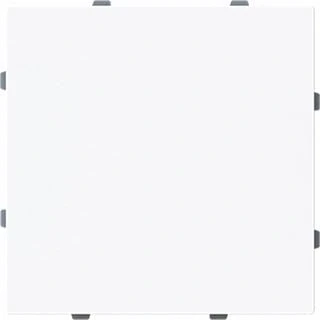 Afbeelding van Abb busch jaeger art linear 1742 44g blinde centraalplaat met draagring 2cka001710a4211