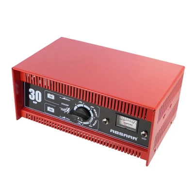 Afbeelding van Absaar Acculader 30AMP 12/24V N/E AmpM SH250