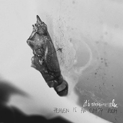 Afbeelding van Its Everyone Else Heaven is an Empty Room (LP)
