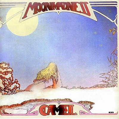 Afbeelding van Camel Moonmadness