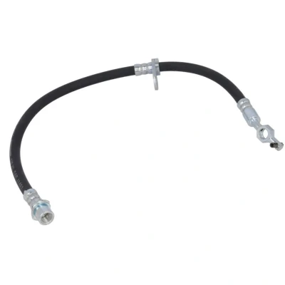 Afbeelding van Delphi Diesel Remslang LH6428