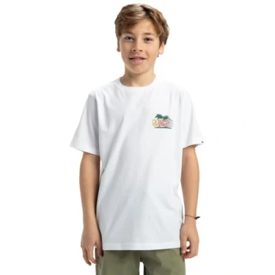 Afbeelding van Quiksilver Sunny Palms Tshirt print voor kinderen, Maat: 164, White