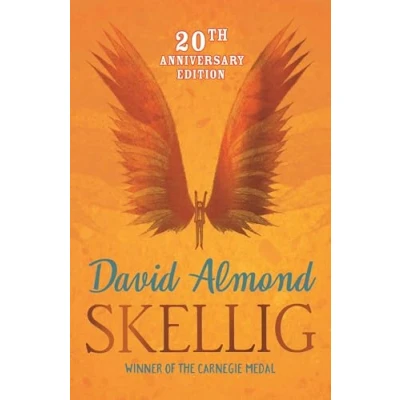 Afbeelding van Skellig