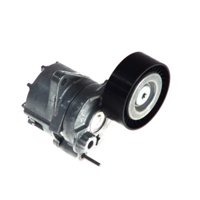 Afbeelding van Skf Spanrol (poly) V riem VKM 38020