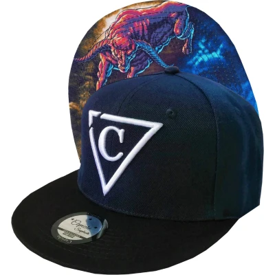 Afbeelding van Capiche Snapback Baseballone SIZE Pet, Heren, Maat: One Size, Dark blue/white/black